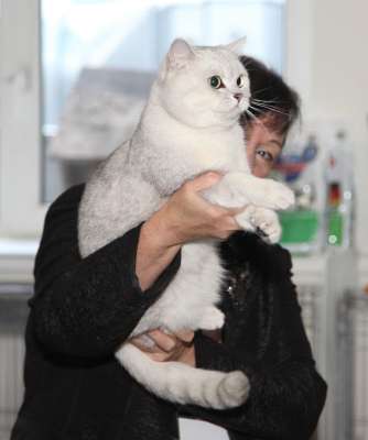 �������� ����� '������� ���-�����' 30 ������-1 ������� 2013., WCF-����� 2558